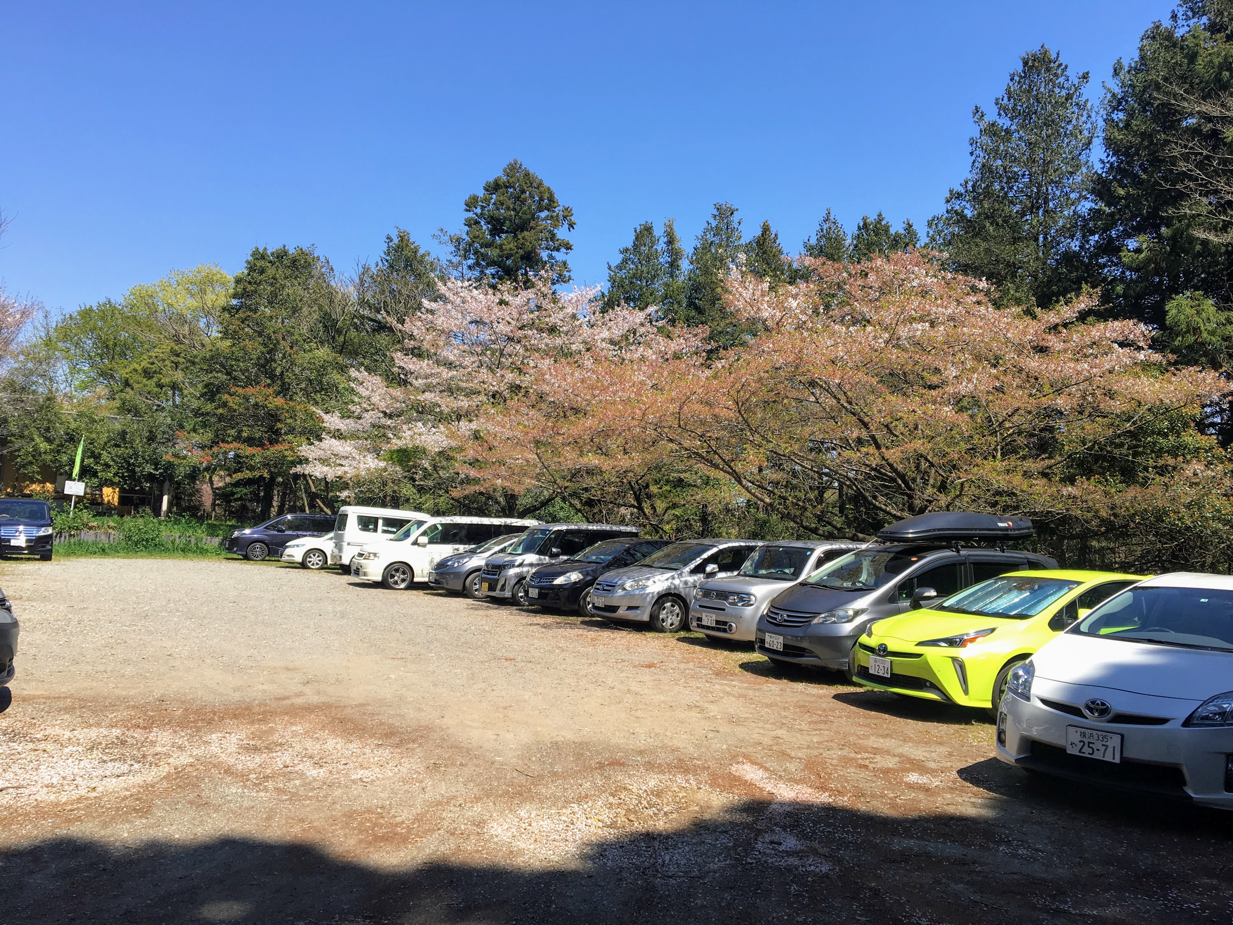 新治市民の森 駐車場