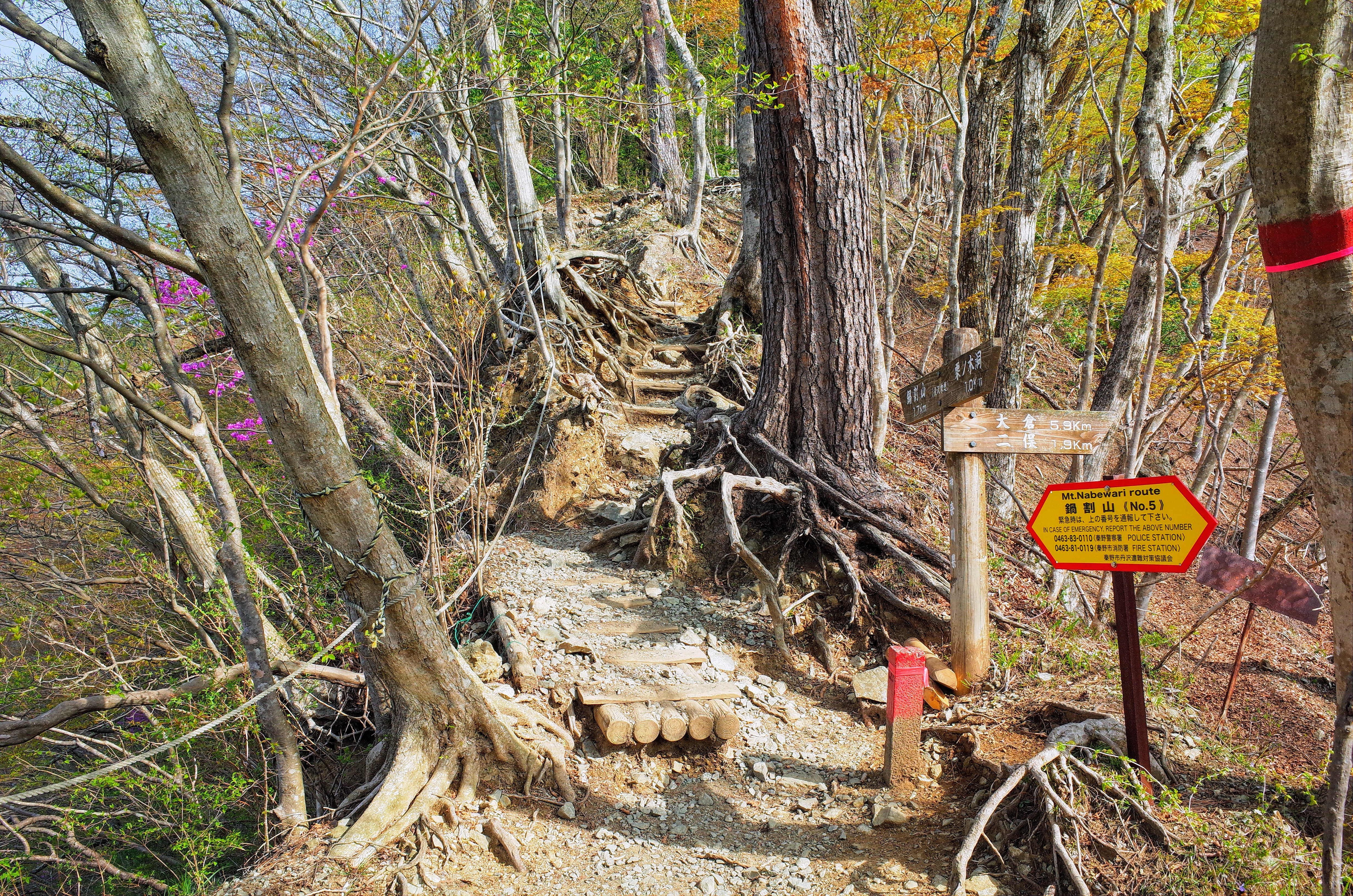 丹沢　後沢乗越　鍋割山