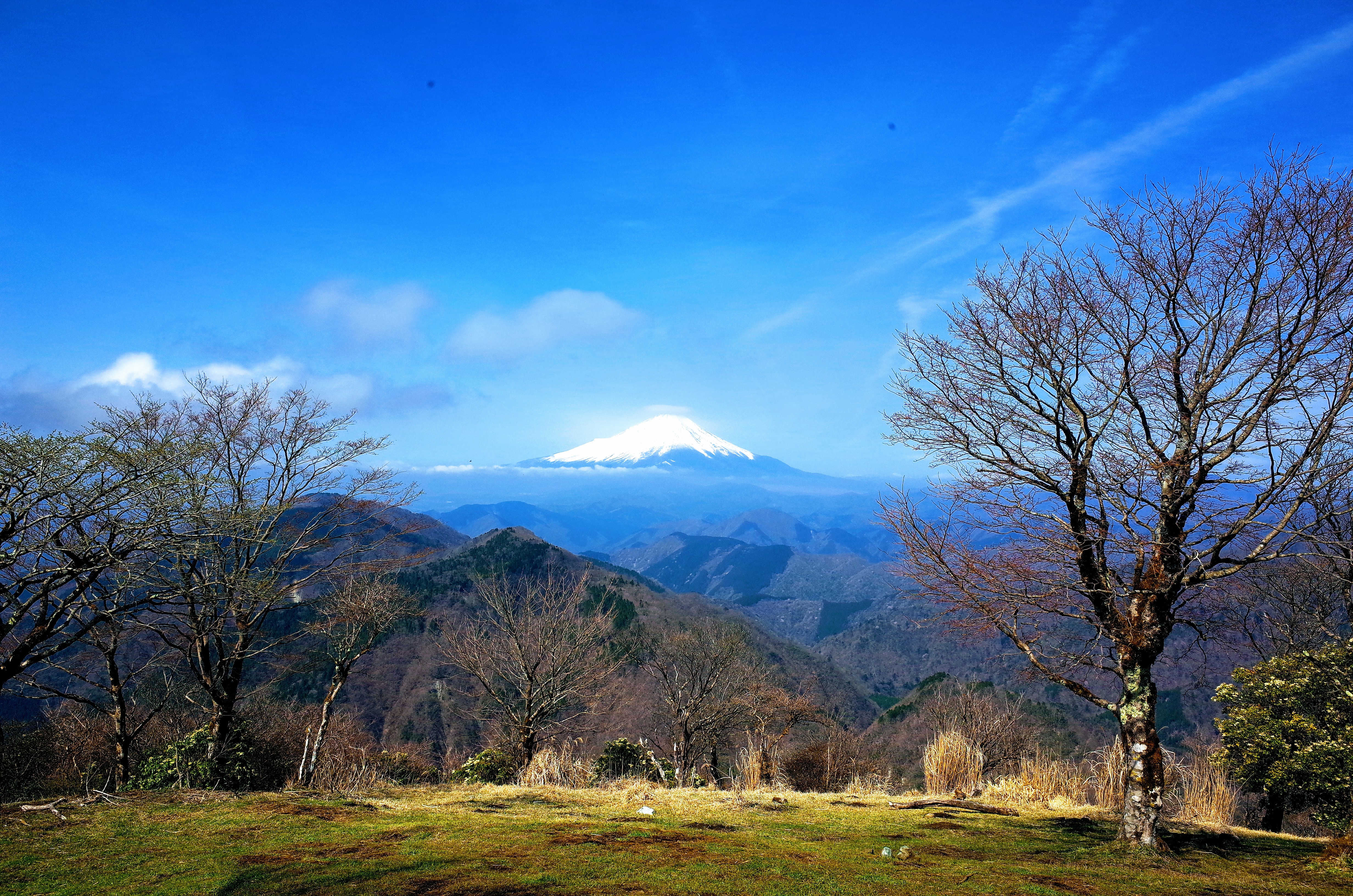 鍋割山　山頂　富士山