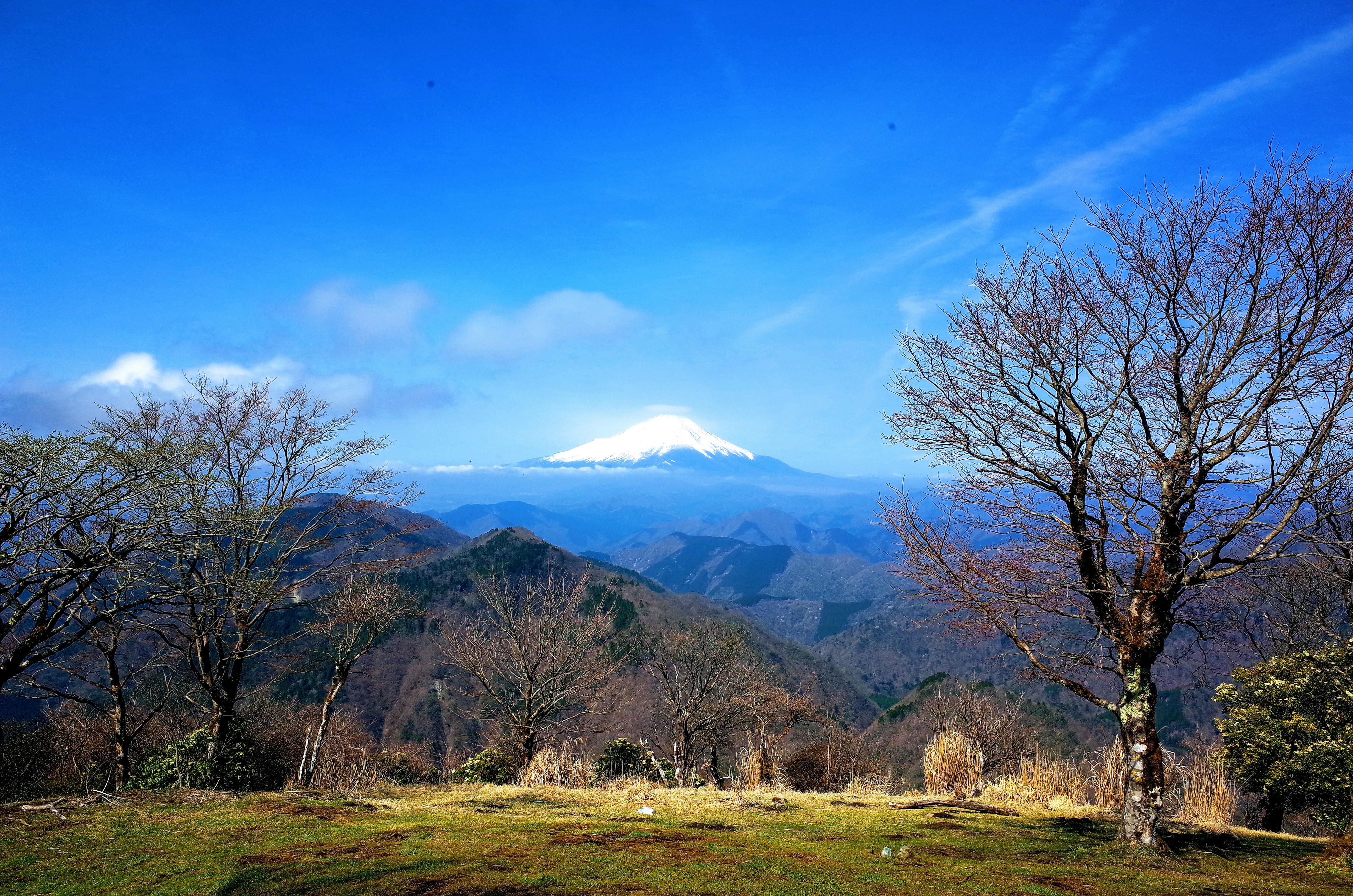 鍋割山 山頂 富士山