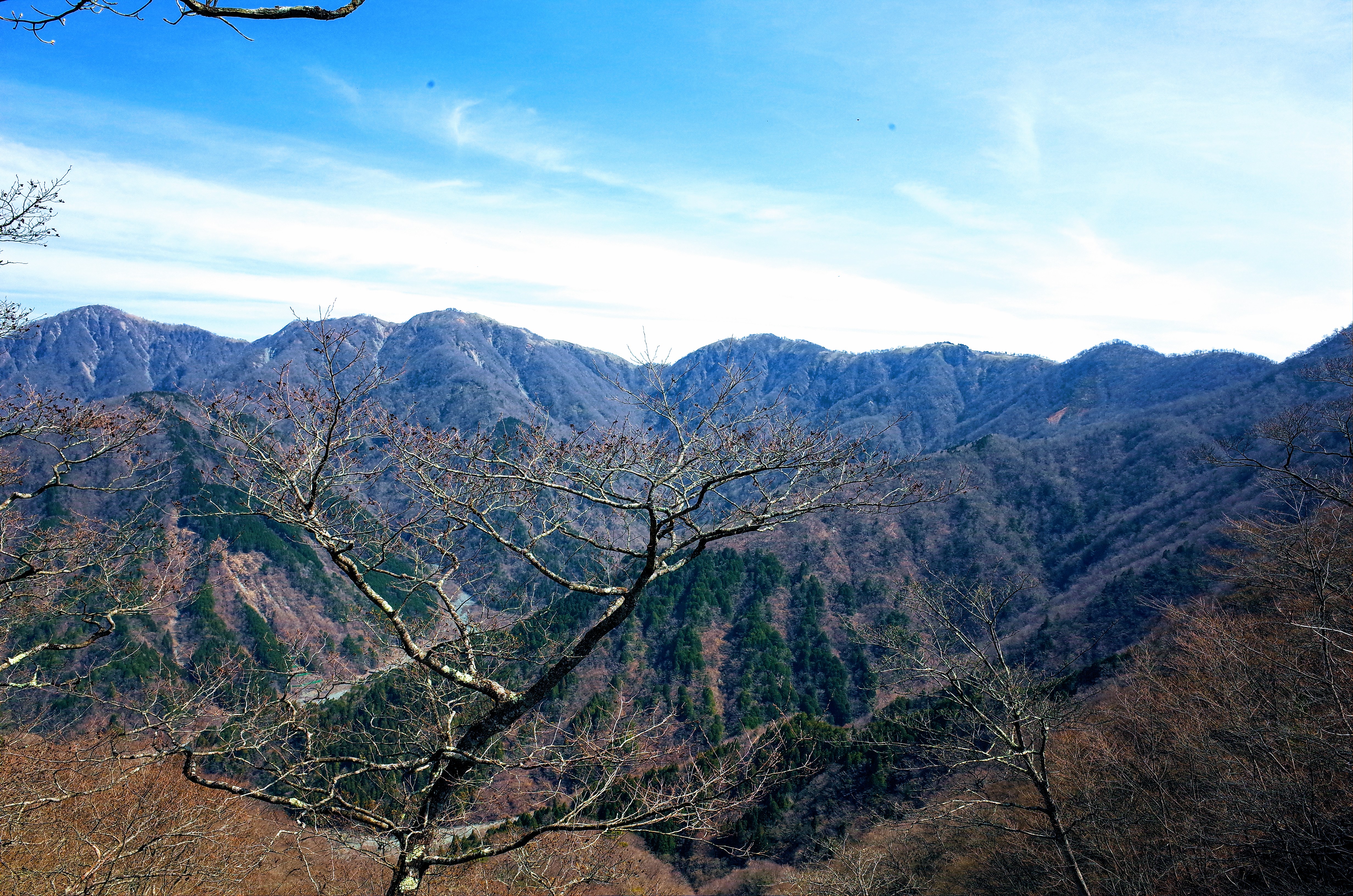 丹沢主稜　塔ノ岳