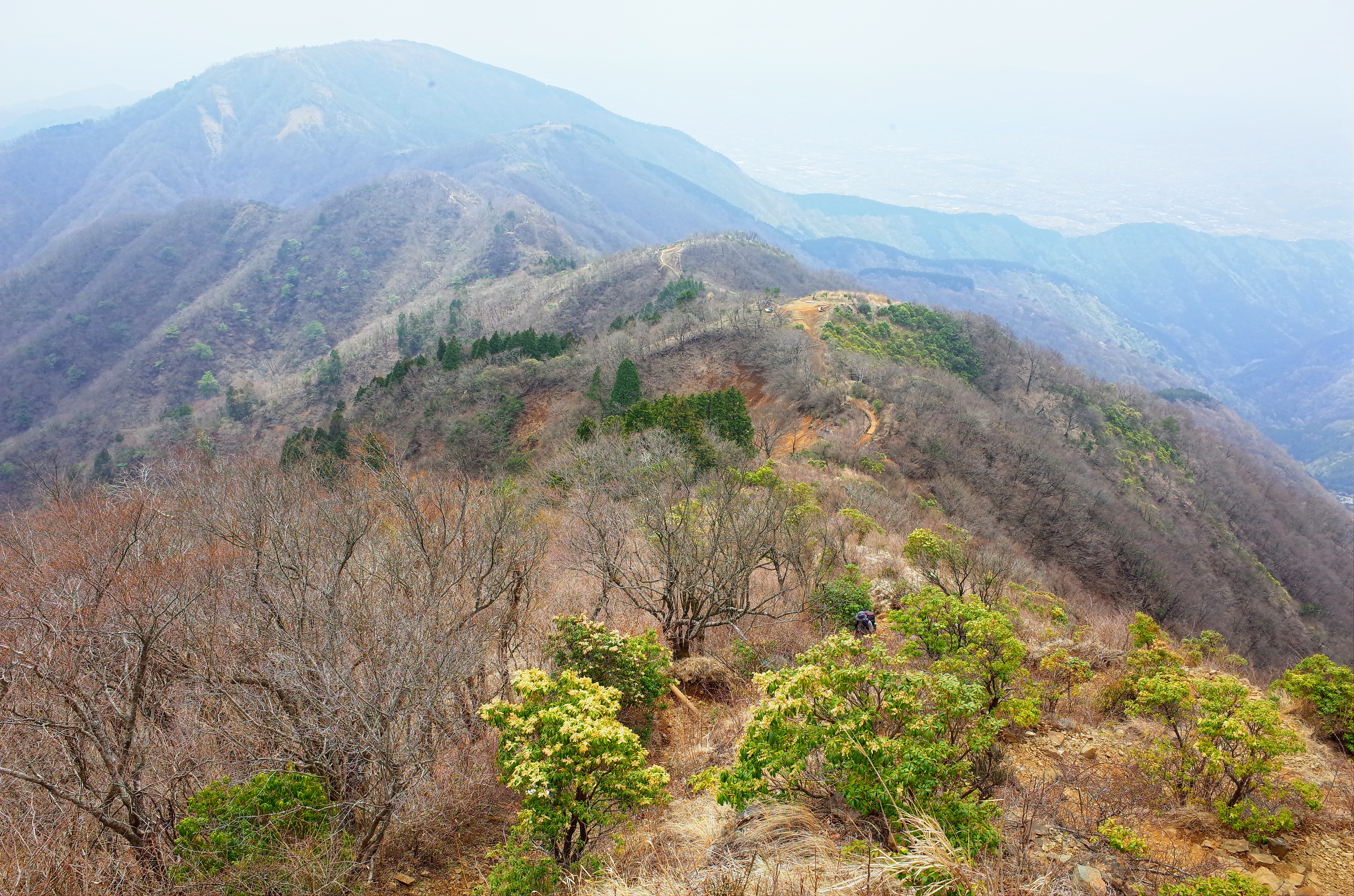 丹沢　表尾根　三ノ搭　塔ノ岳