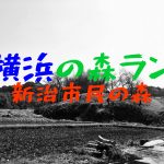【新治市民の森】横浜の森でランニング【#1】