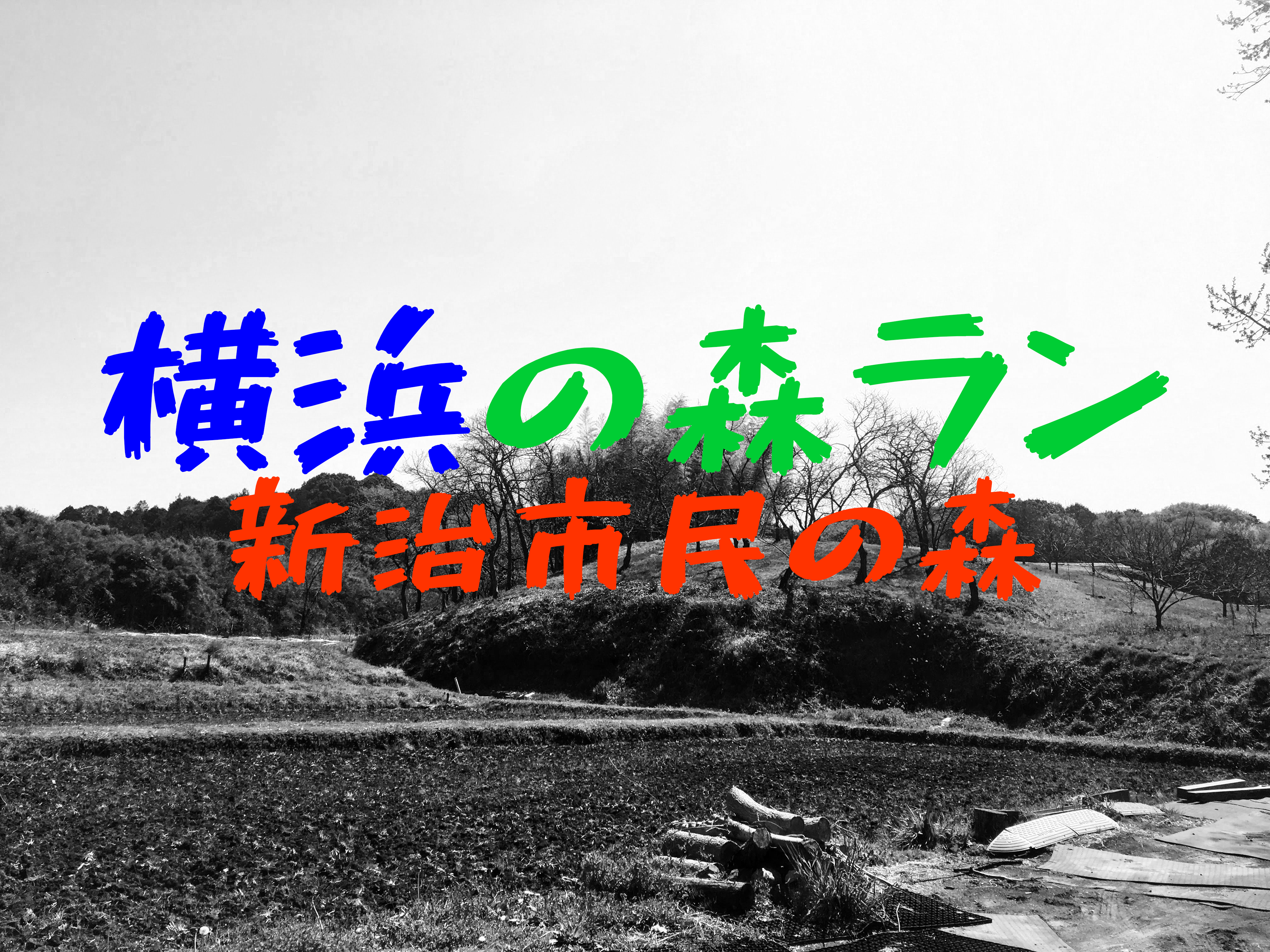横浜 新治市民の森 ランニング トレラン