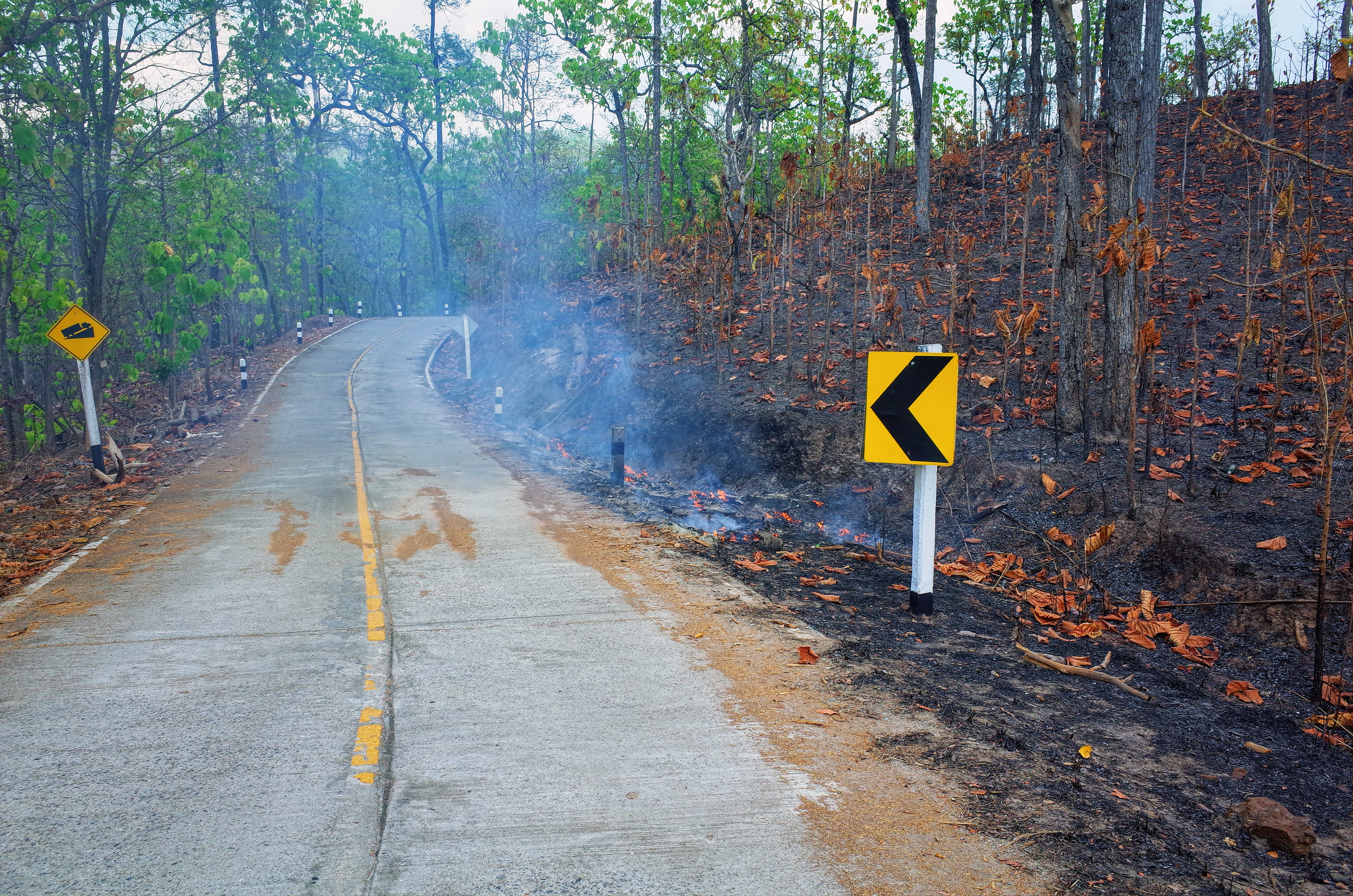 メーホンソンループの道路の写真。山焼きの影響で、道路のすぐそばまで燃えています。