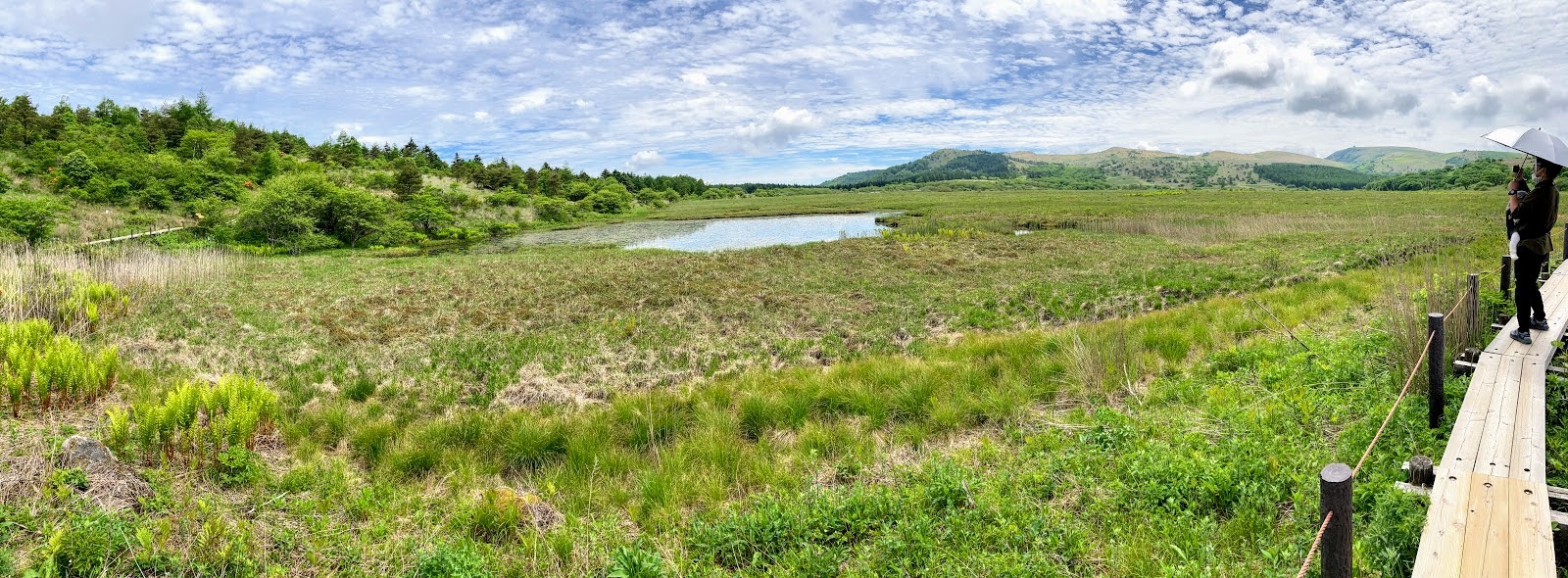 八島湿原の写真