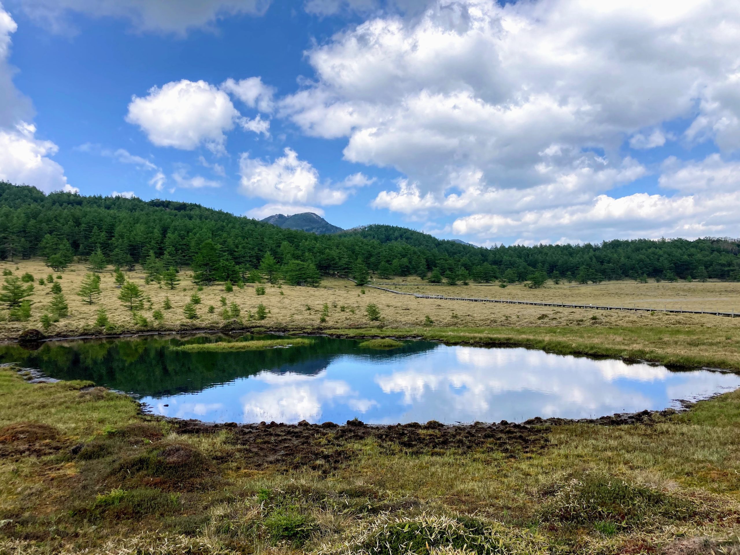 池の平湿原の写真。